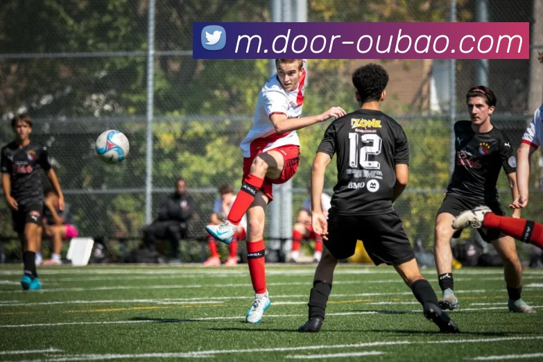 欧宝体育平台生态图