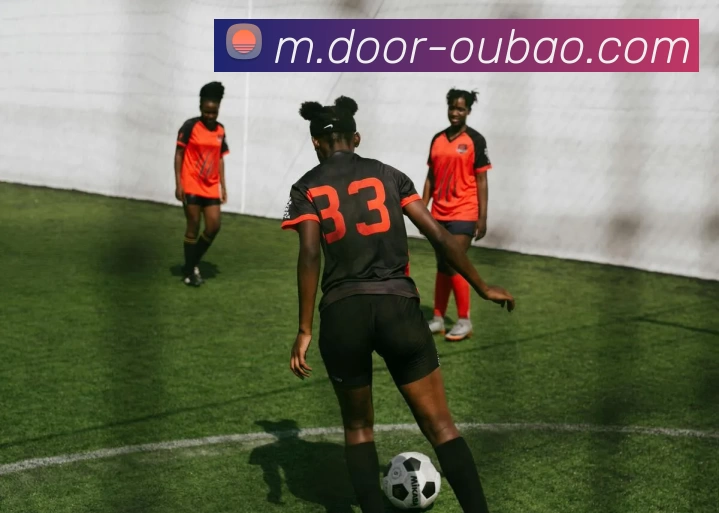 欧宝体育APP 封面图